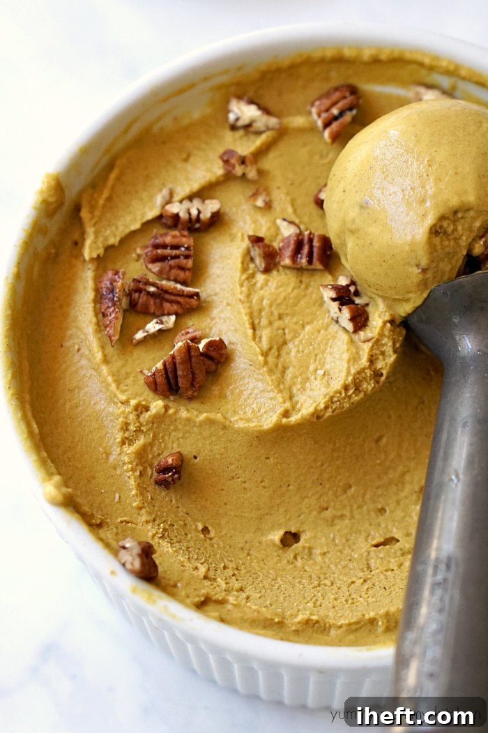 A large container of velvety creamy vegan pumpkin ice cream being scooped, revealing its smooth texture and hints of pecans.