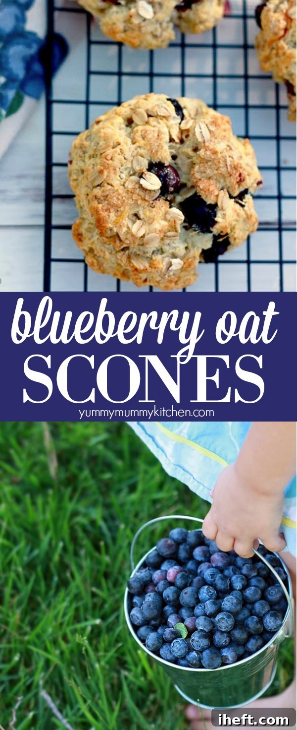 A plate of golden-brown healthier blueberry oatmeal scones, ready to be served and enjoyed.