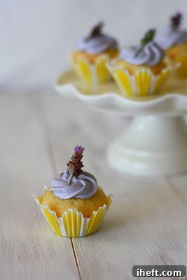 Three beautifully frosted lemon lavender cupcakes, each topped with a delicate fresh lavender flower, presented against a soft background.