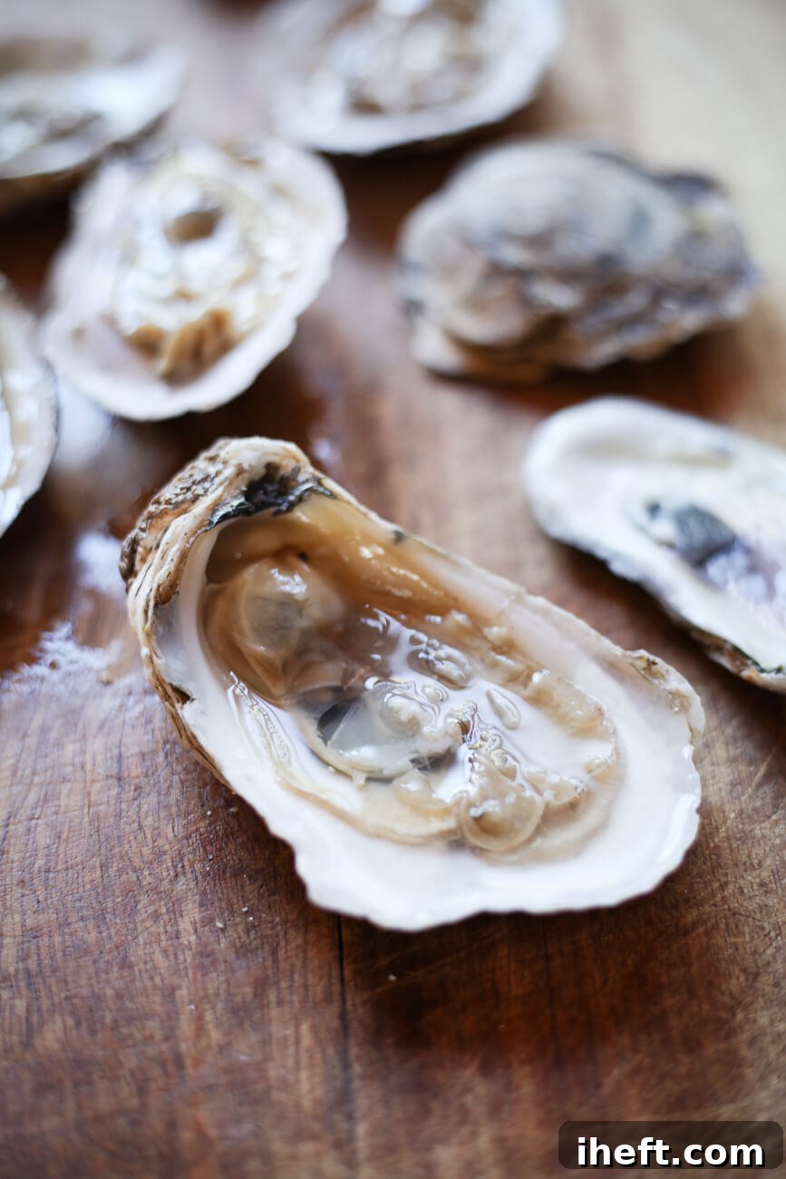 A high-definition close-up shot of a single raw Blue Point oyster, perfectly presented on its half shell, showcasing its intricate details and appealing freshness.
