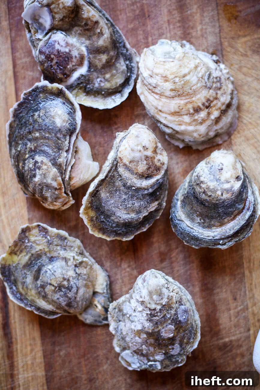 Seven beautiful Blue Point oysters are arranged neatly on a cutting board, awaiting shucking and serving. 