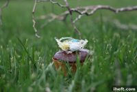 Delicate Spun Sugar Nests for Easter Cupcakes