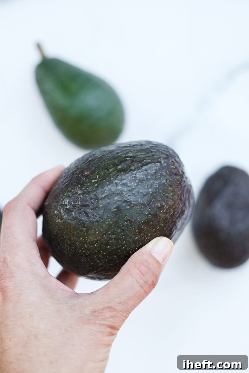 A hand holds a ripe Haas avocado with dark green skin. 