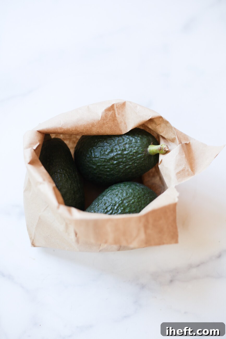 A brown paper bag filled with three green Haas avocados. 