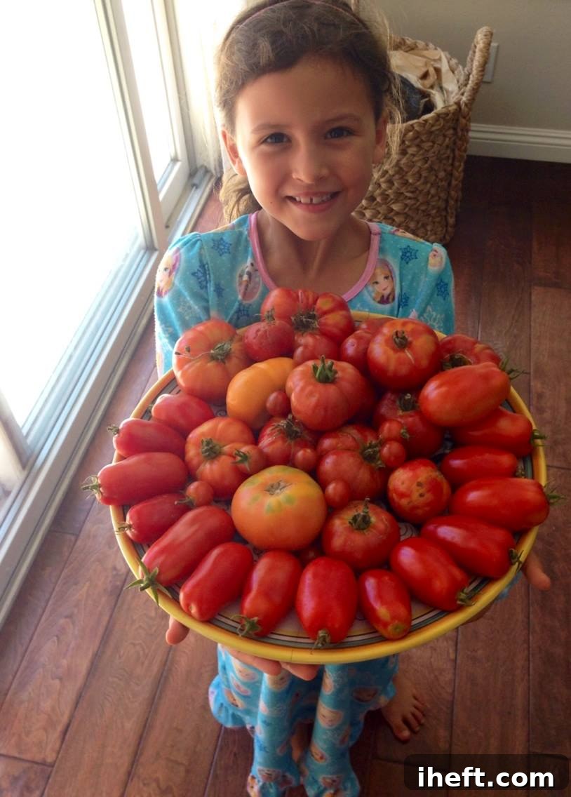 A little girl holds a large platter of homegrown tomatoes.