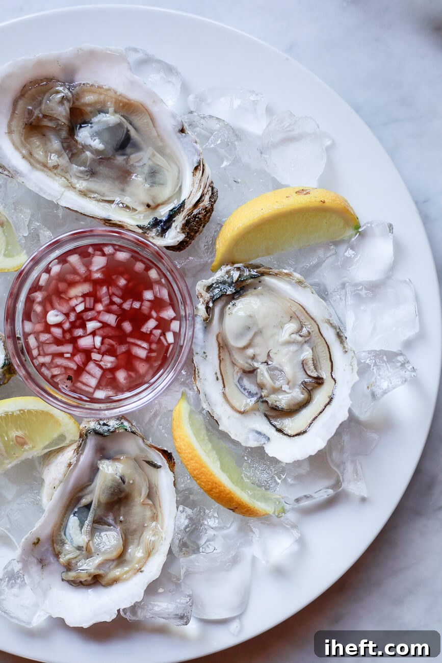 A white plate of raw oysters with a small bowl of mignonette sauce and lemon wedges. 