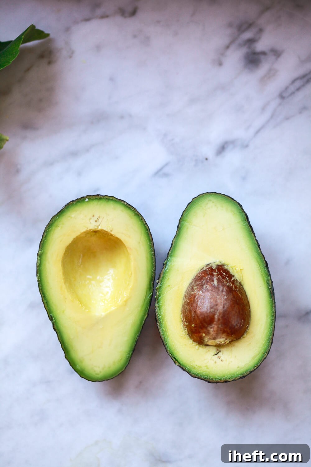 A ripe avocado cut in half on a marble countertop, clearly showing the seed, the creamy green flesh, and the skin. The anatomy and layers of the avocado exocarp, mesocarp, and endocarp can be seen. 