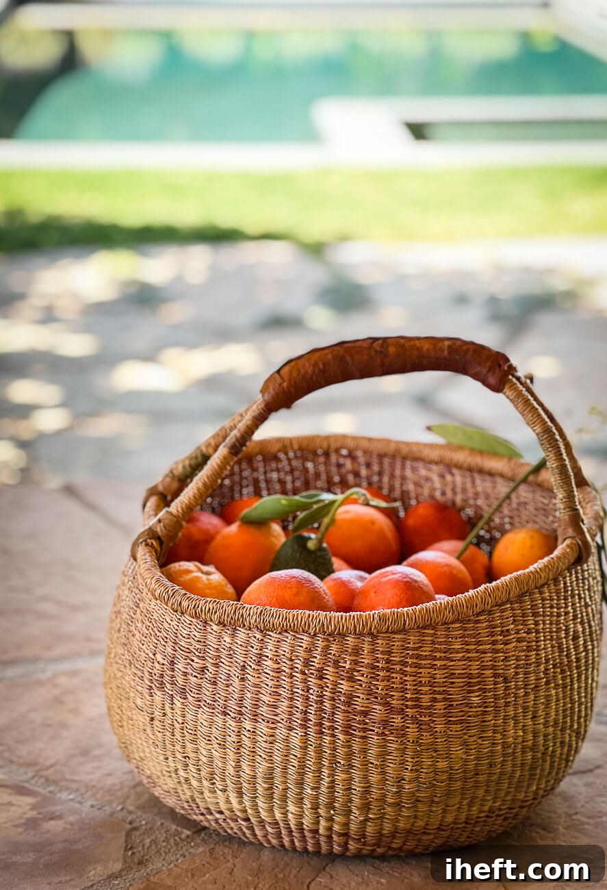 A large basket filled with freshly picked backyard blood oranges and a few avocados sit on a patio with a pool in the background.