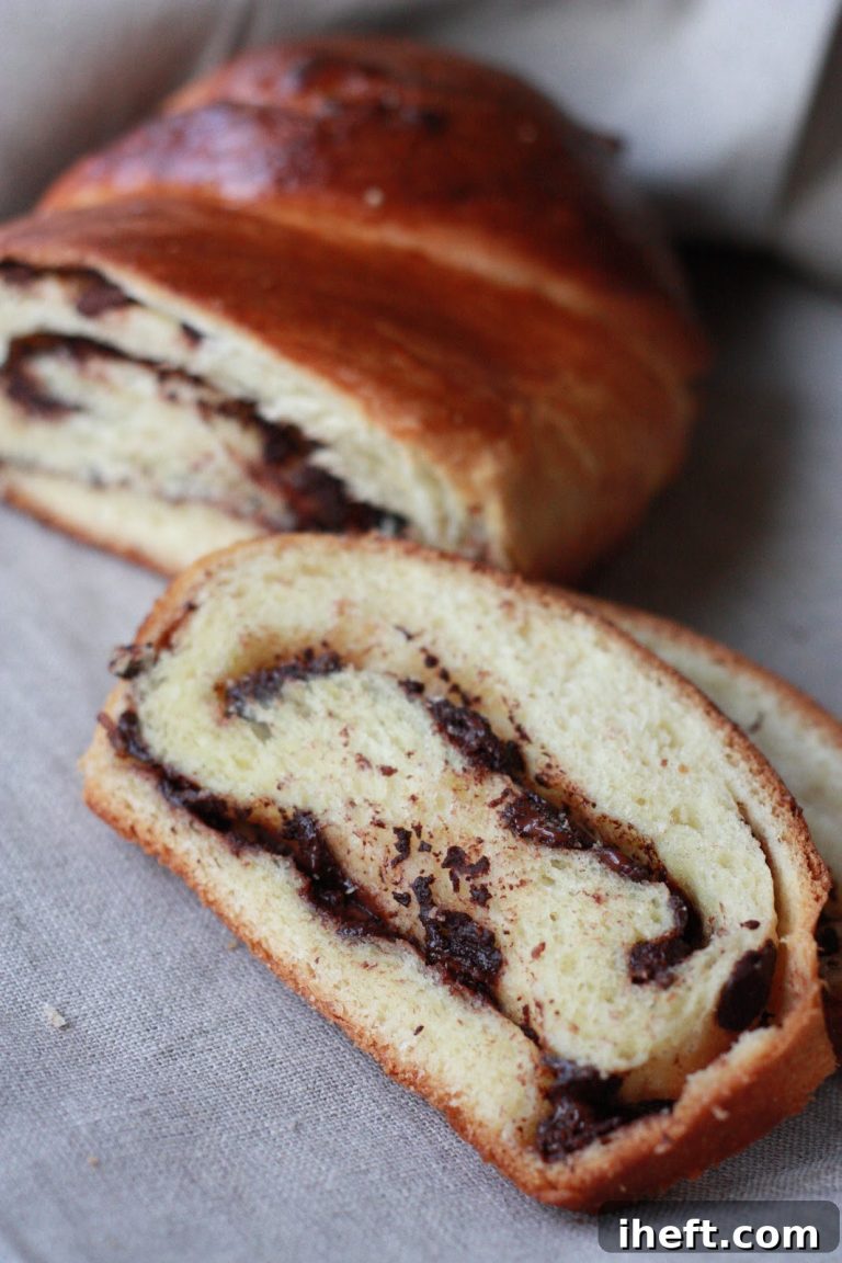 Irresistible Chocolate Babka for Festive Celebrations
