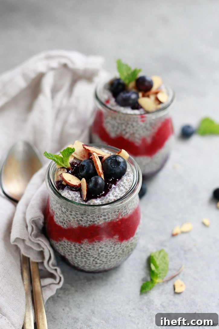 Two small glass jars filled with colorful chia pudding, featuring berry swirls and fresh berries, displayed on a concrete surface.