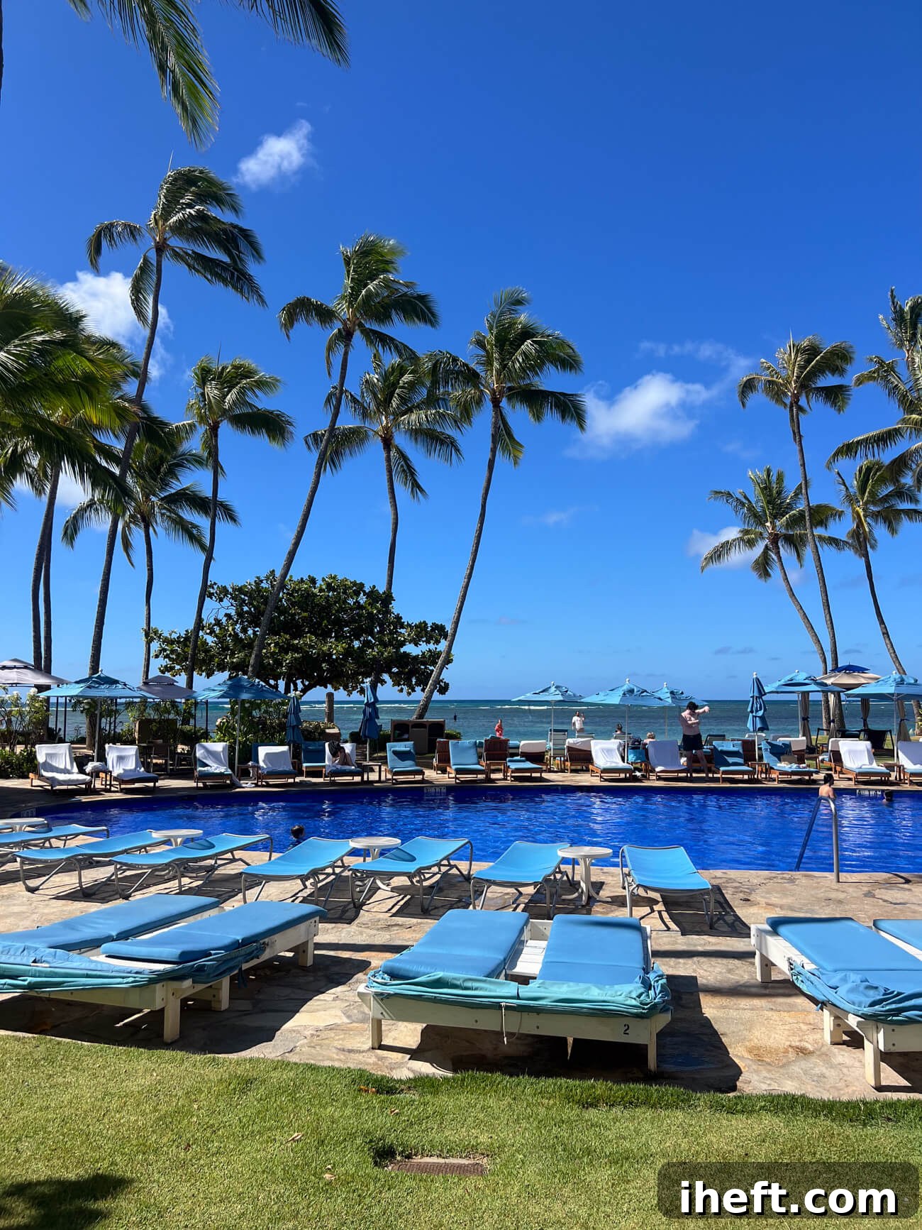 An oval pool with ocean and palm trees in the background at the Kahala resort on Oahu. 