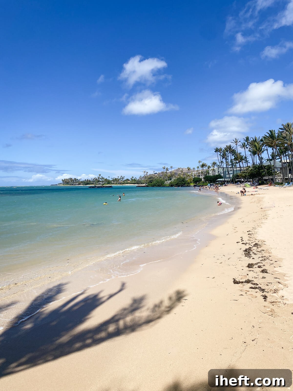 A view of the Kahala Beach. A white sand beach with blue ocean and palm trees. 
