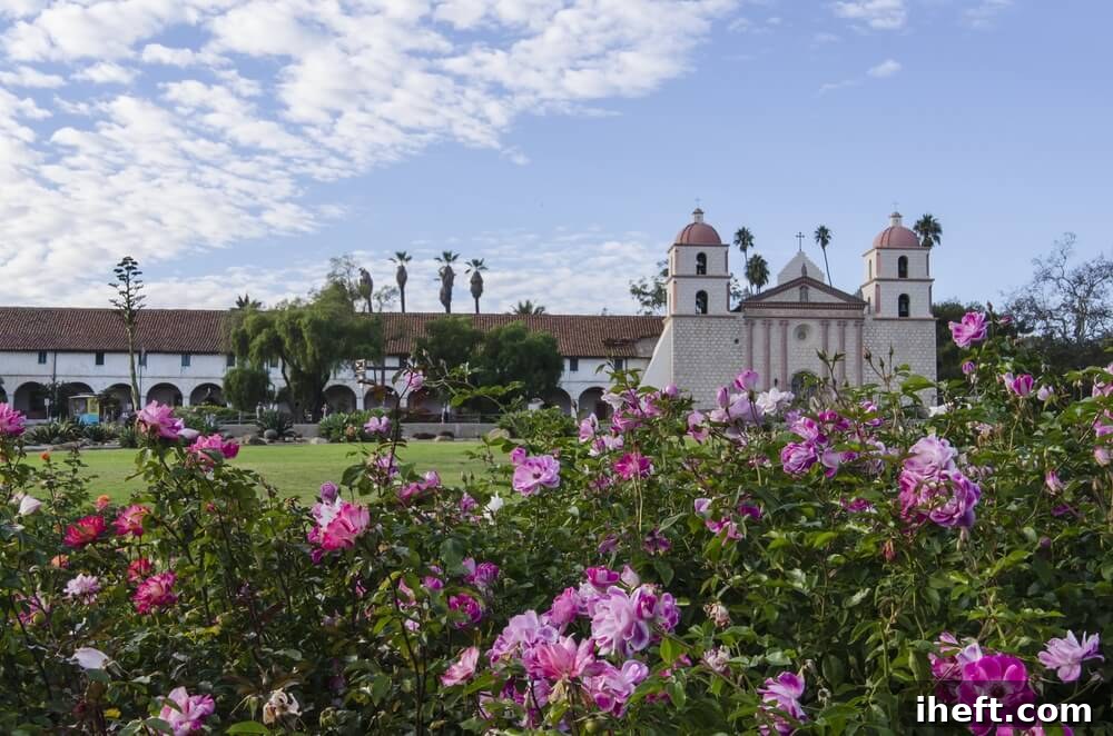 Pink roses at the Santa Barbara rose garden with the Santa Barbara Mission in the background. 