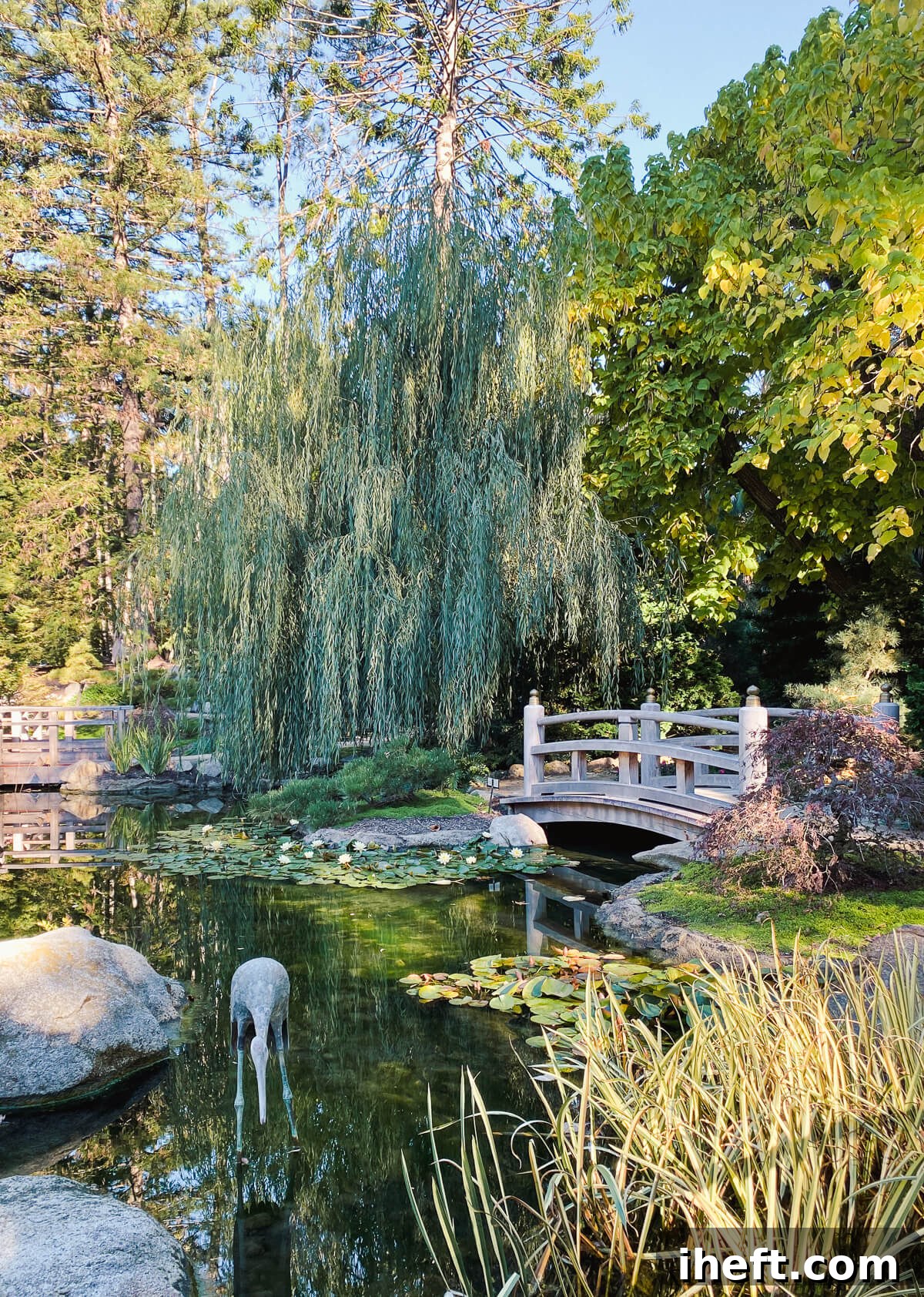 A beautiful pond with wooden bridge at Lotusland in Montecito. 