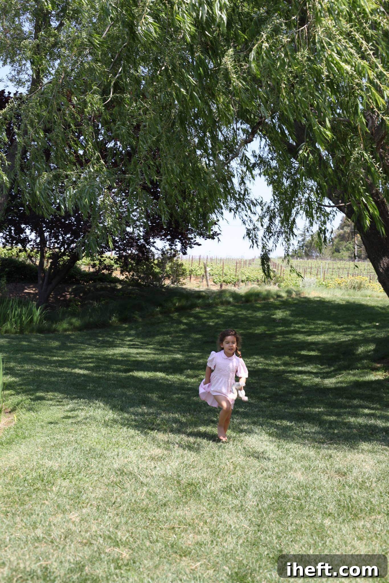 A little girl in a pink dress runs on a lawn in front of a vineyard at a winery in Santa Barbara county. 