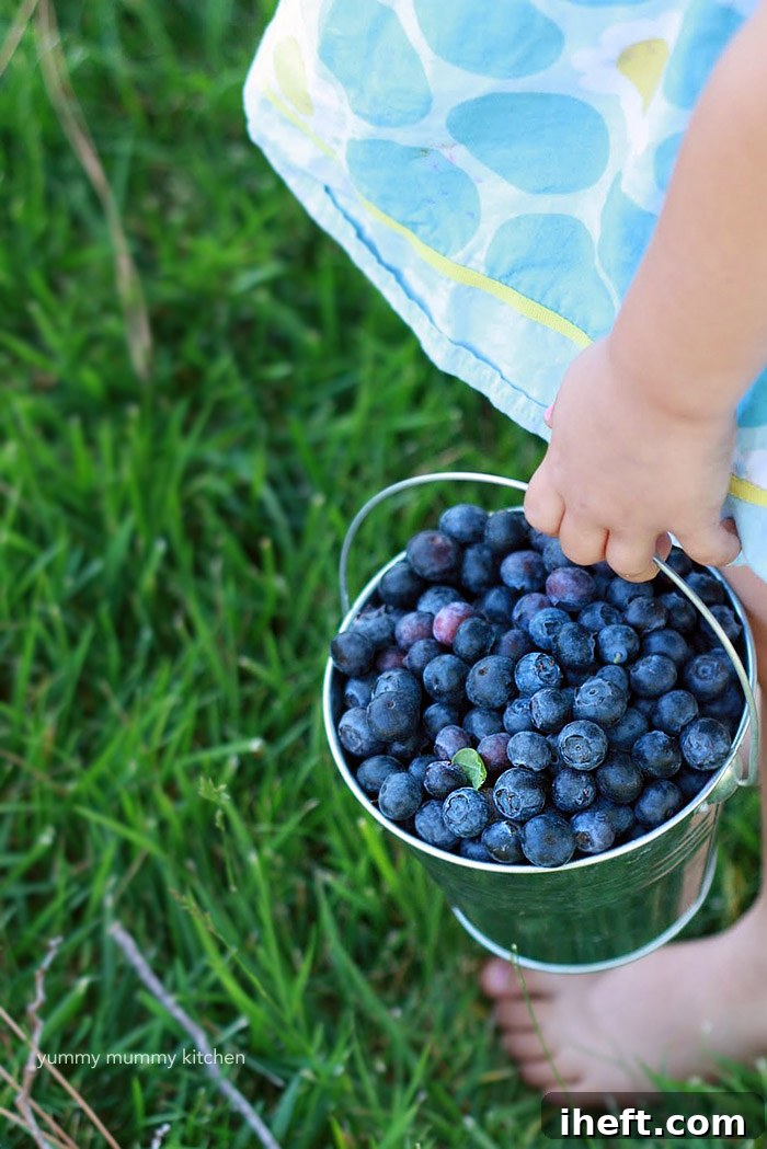 A little girl in a blue dress holds a bucket full of blueberries. 