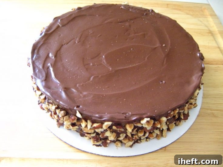 Flourless Chocolate Cake with Ganache and Hazelnuts