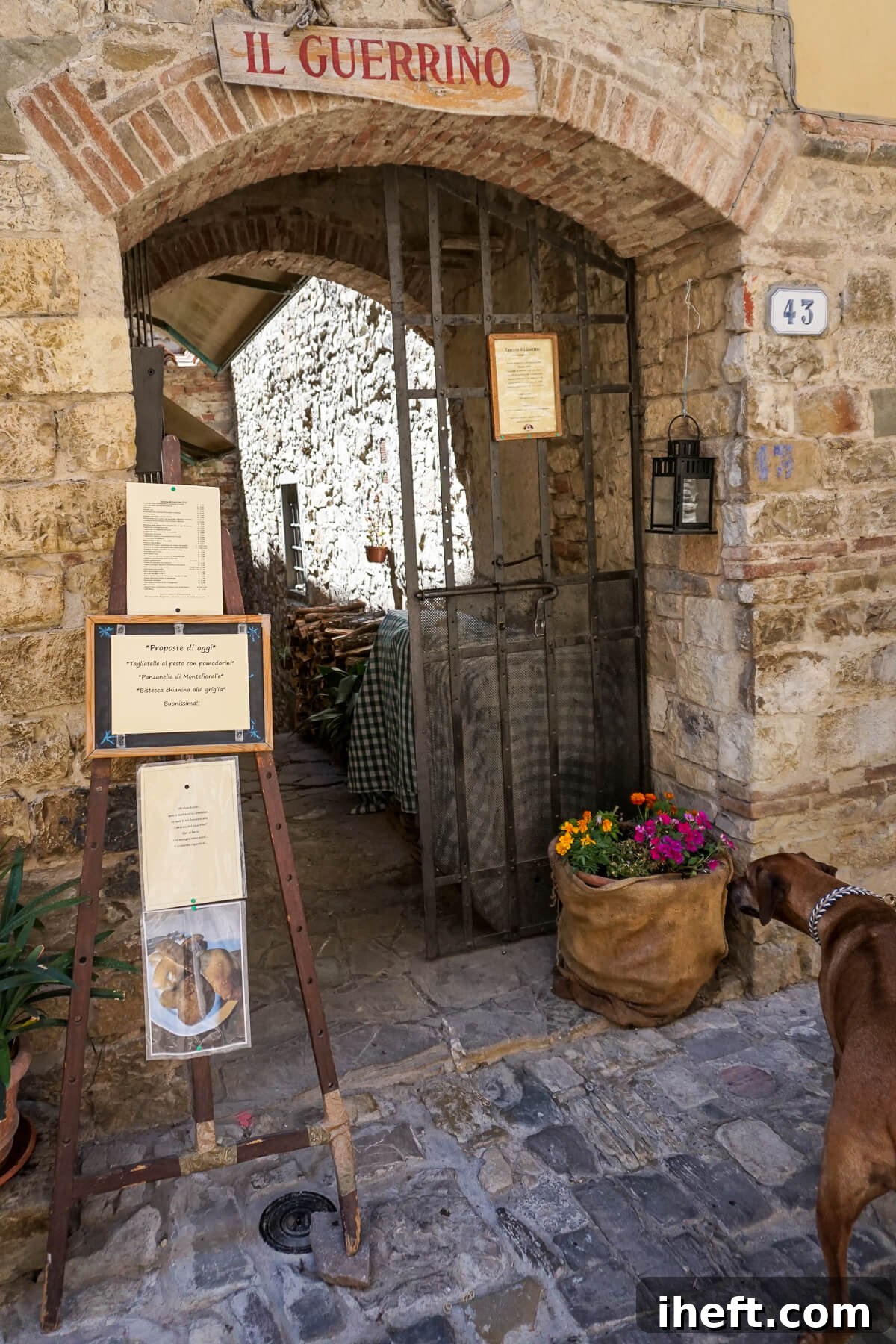 A charming dog gazes into the rustic entrance of a typical Tuscan Italian restaurant, "Il Guerrino," hinting at welcoming warmth.