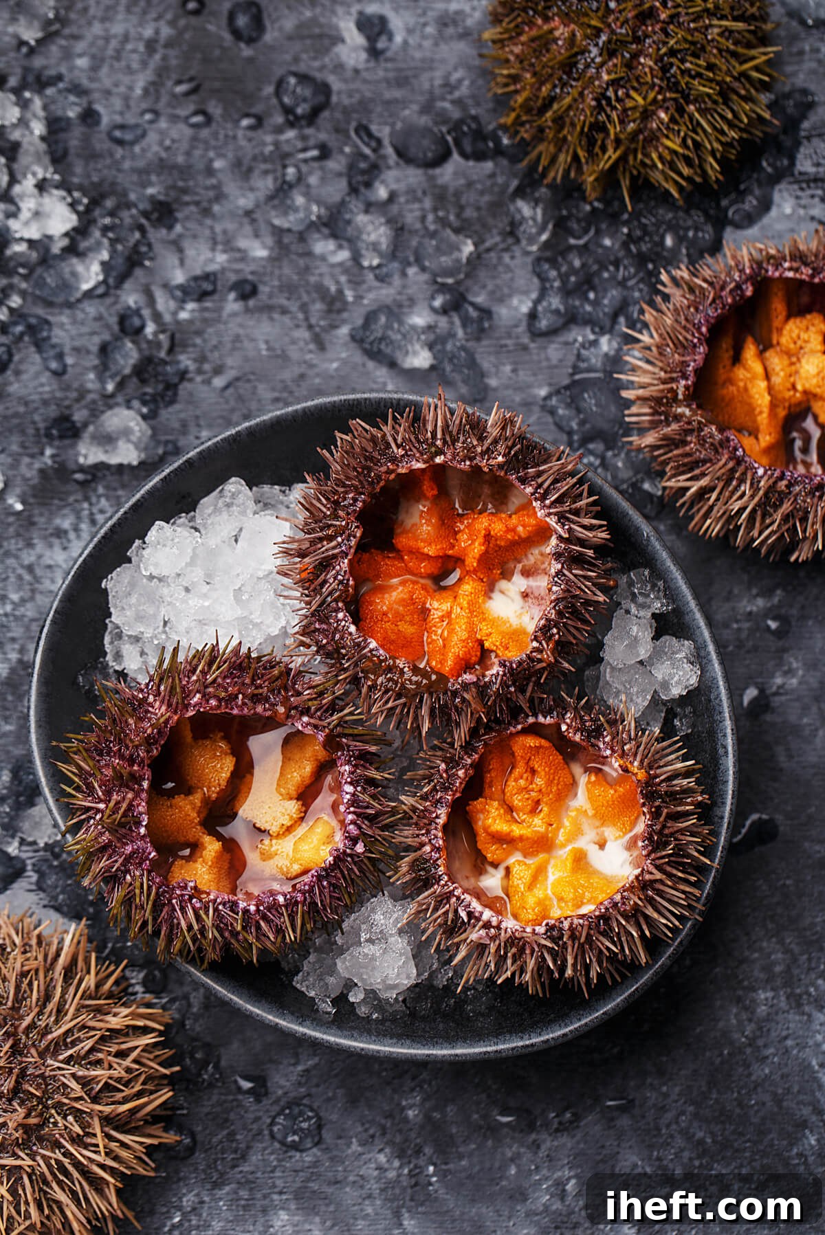 Three Sea Urchins (Uni) opened and set on ice in a dark grey bowl. 