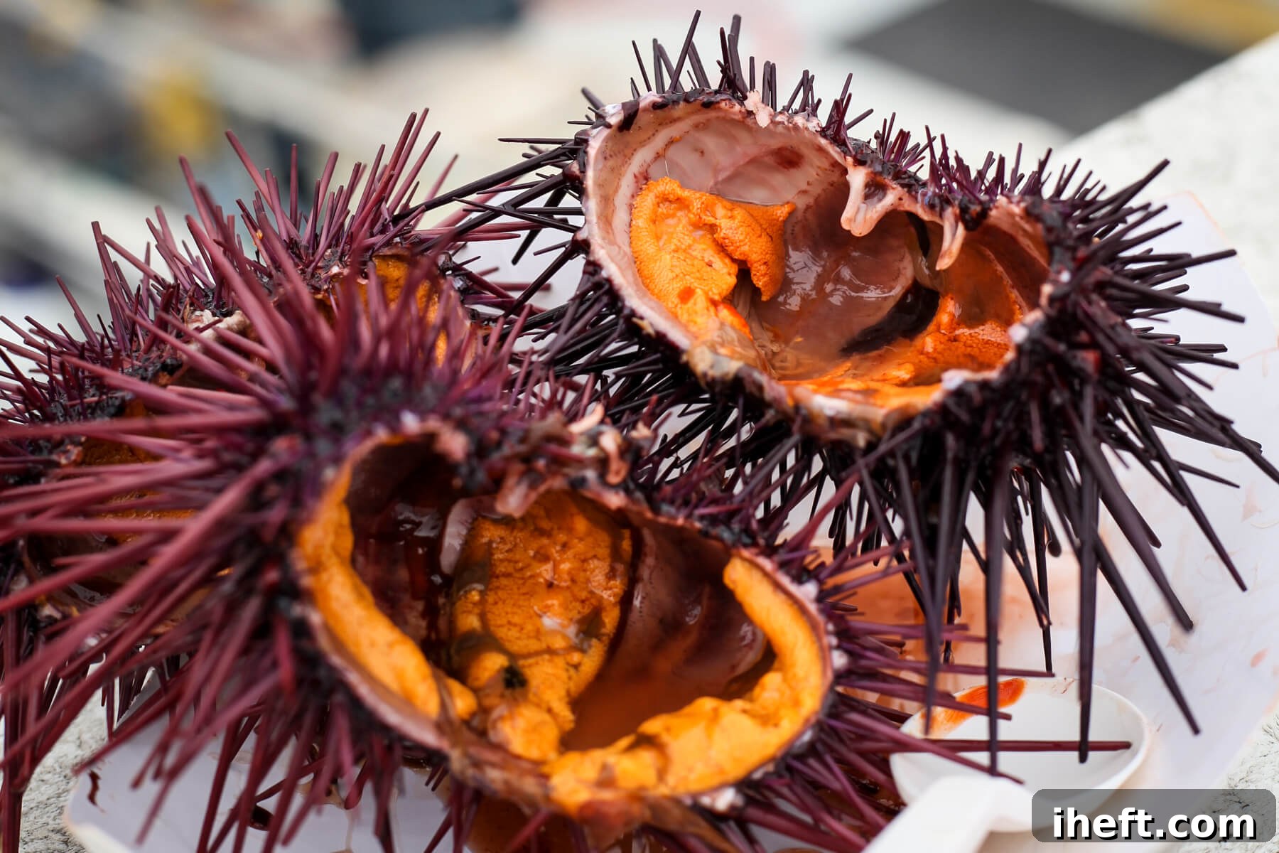 Three sea urchin uni halves served in Santa Barbara.