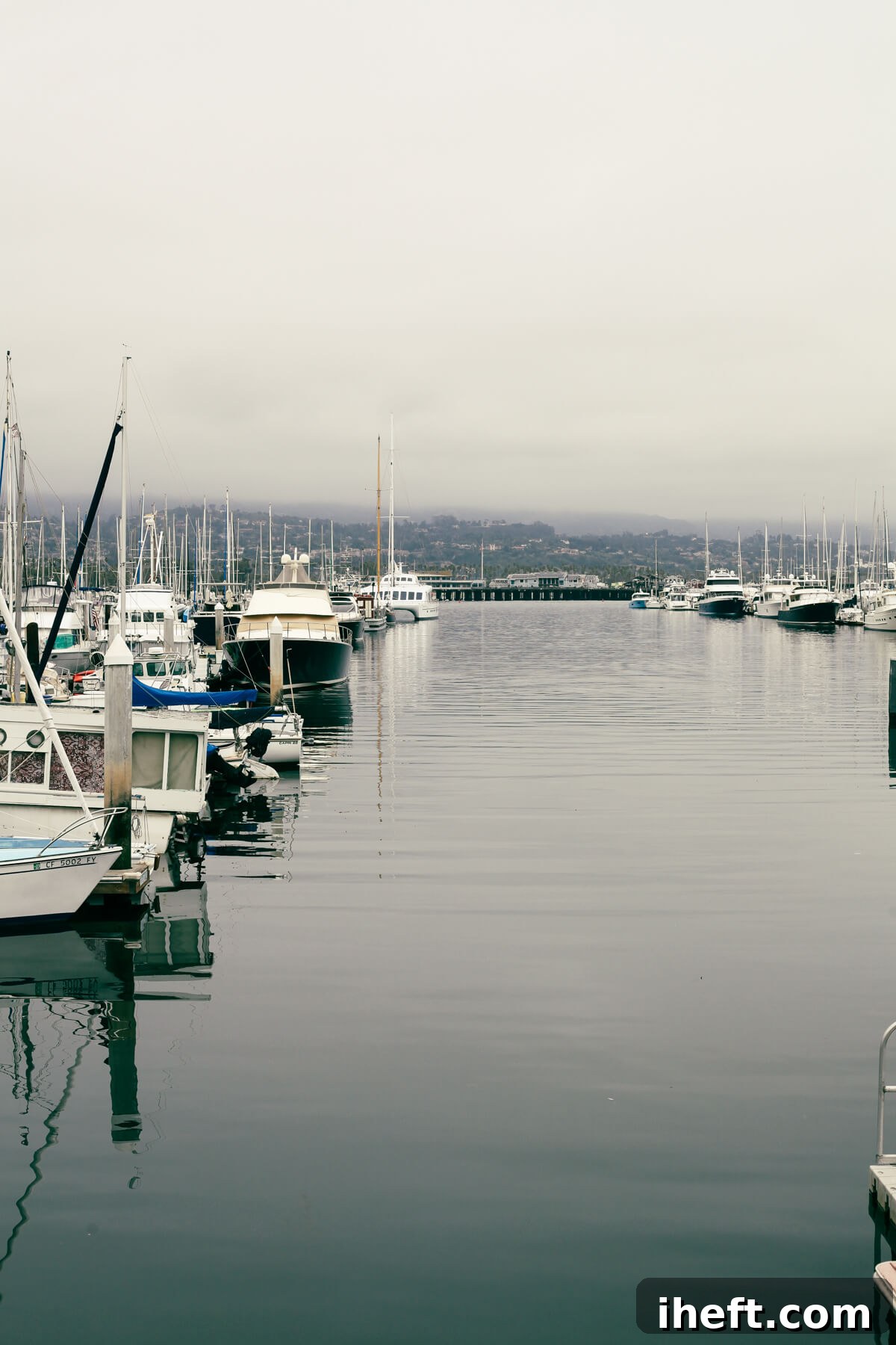 A foggy day at the Santa Barbara harbor. 