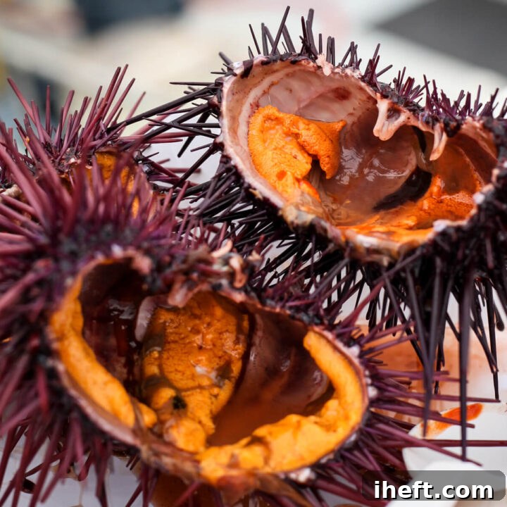 Three sea urchin uni halves served in Santa Barbara.