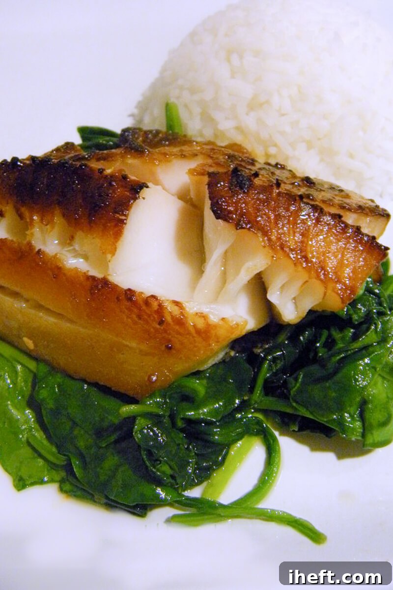 Miso black cod over spinach with a side of rice.
