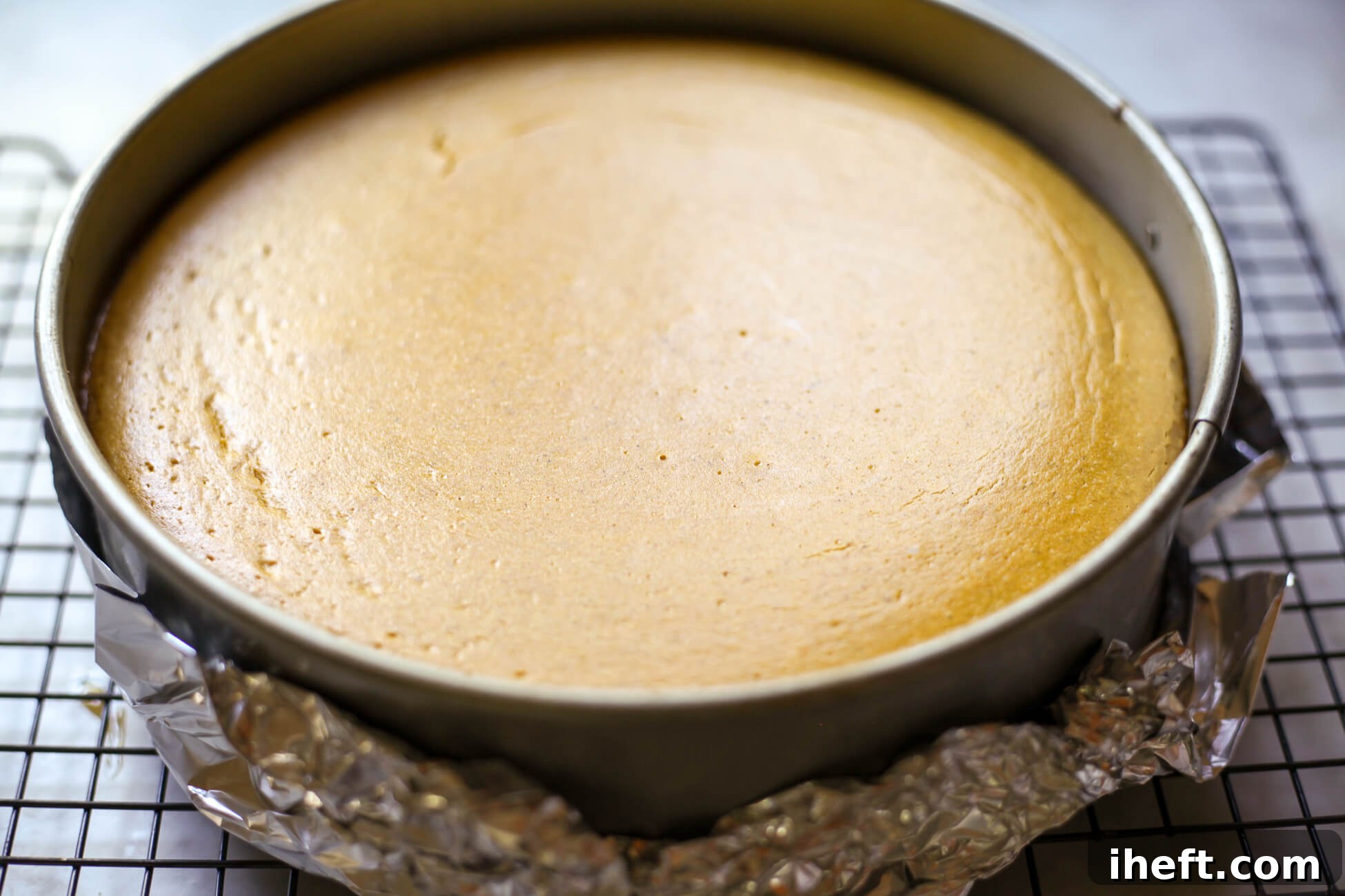 A freshly baked homemade pumpkin pie cheesecake, still in its springform pan, with a perfectly golden crust and creamy filling.
