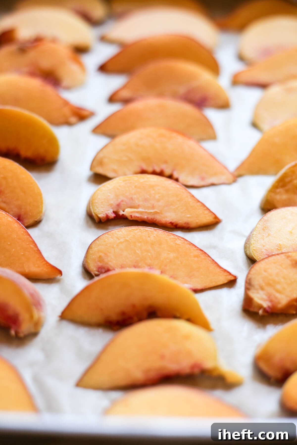 Frozen peach slices lined on a cookie sheet just out of the freezer. This shows how to freeze peaches. 