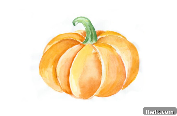 An easy pumpkin drawing in pencil and watercolor on a white background, suitable for fall or Thanksgiving.