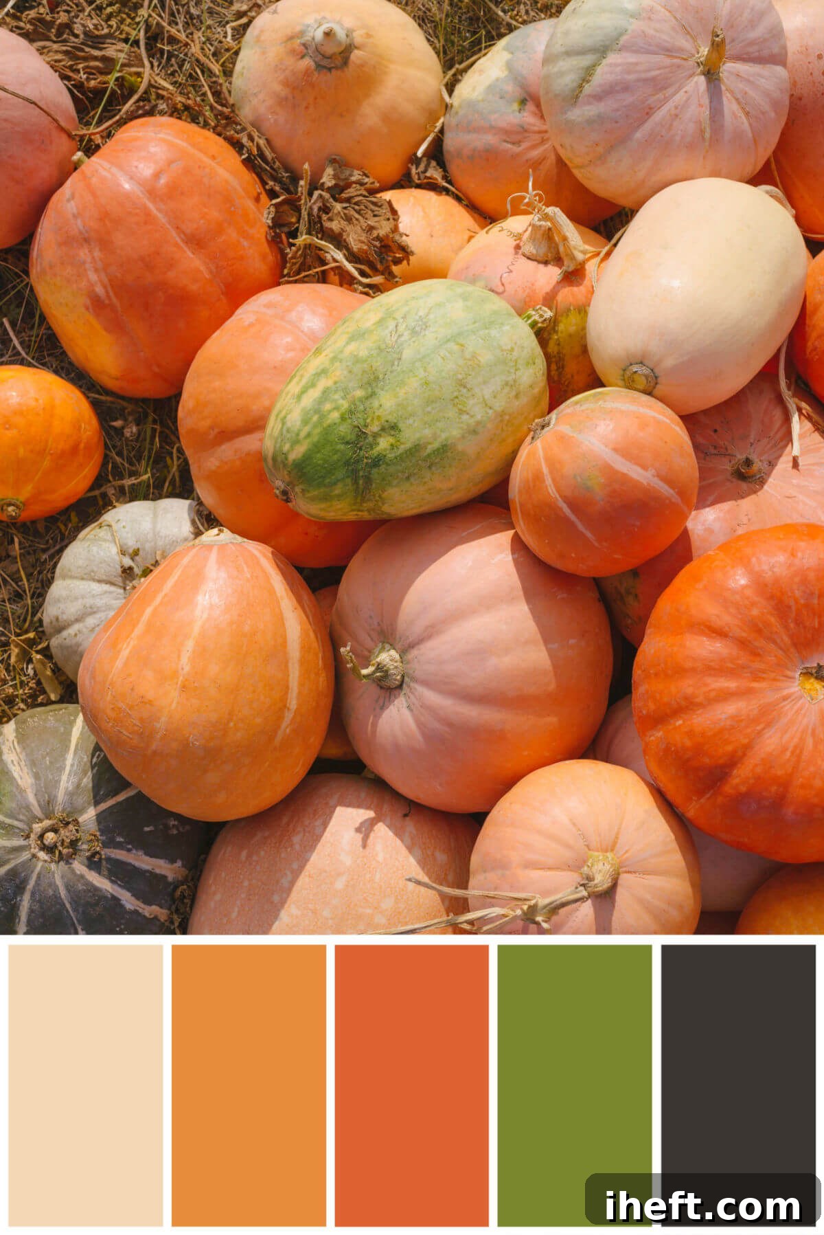 A vibrant display of colorful pumpkins resting on straw bales outdoors, beneath a curated traditional Thanksgiving color palette featuring shades of tan, rich orange, dark orange, forest green, and deep grey.