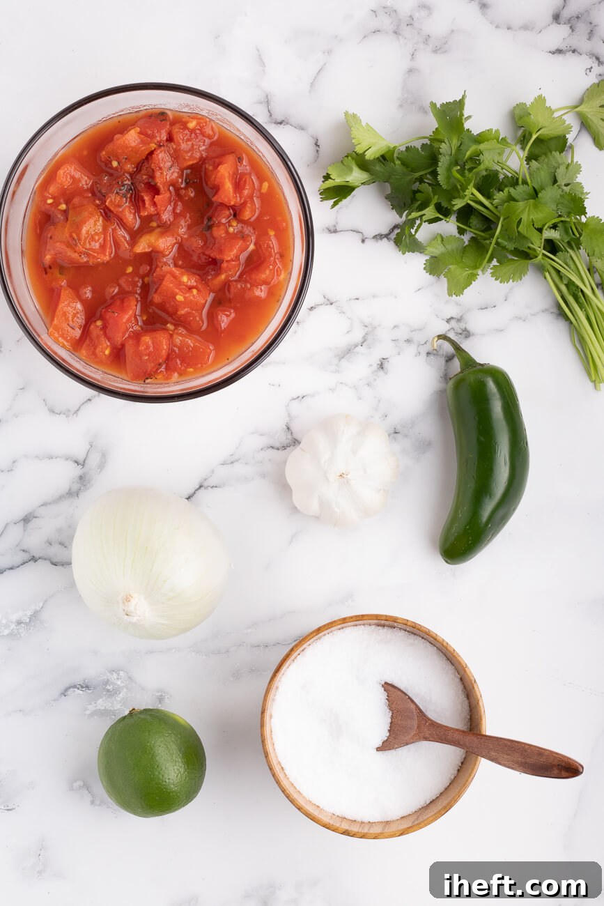 The ingredients for chunky homemade salsa on a marble countertop, including canned fire-roasted tomatoes, jalapeno, garlic, onion, lime, cilantro, and salt. 