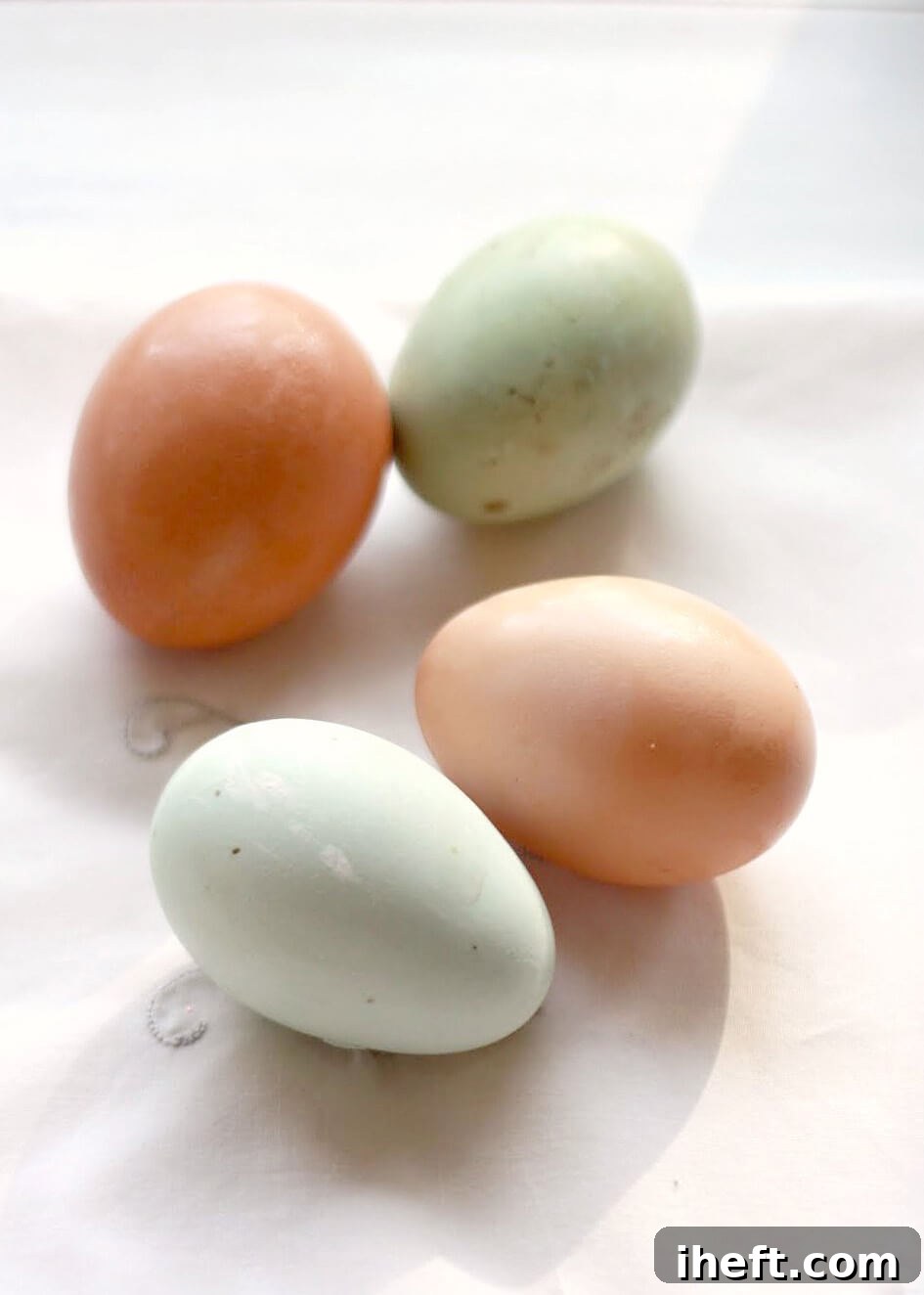 A selection of vibrant blue and green chicken eggs, prized by chicken owners.