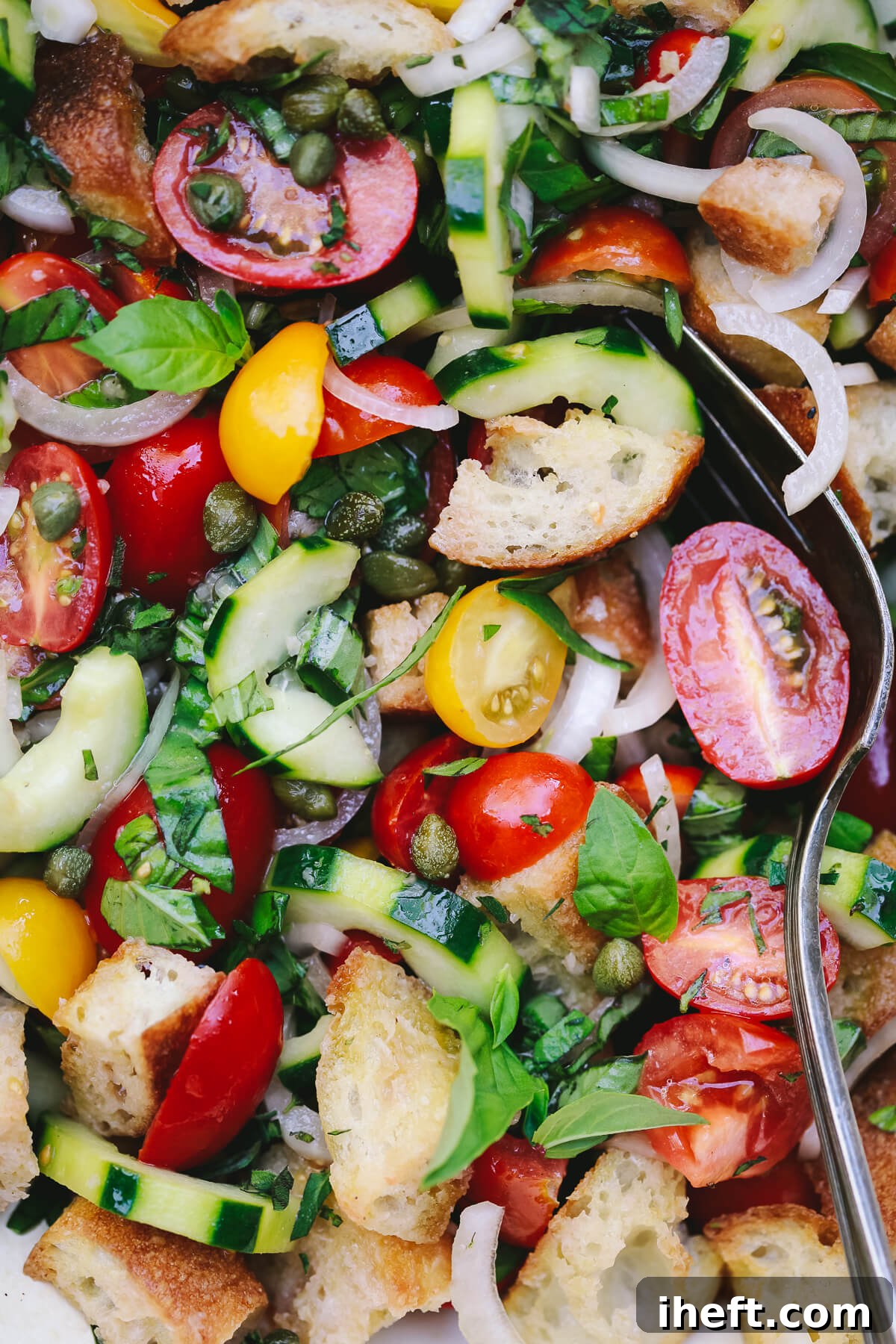 Panzanella salad with bread and tomatoes. 