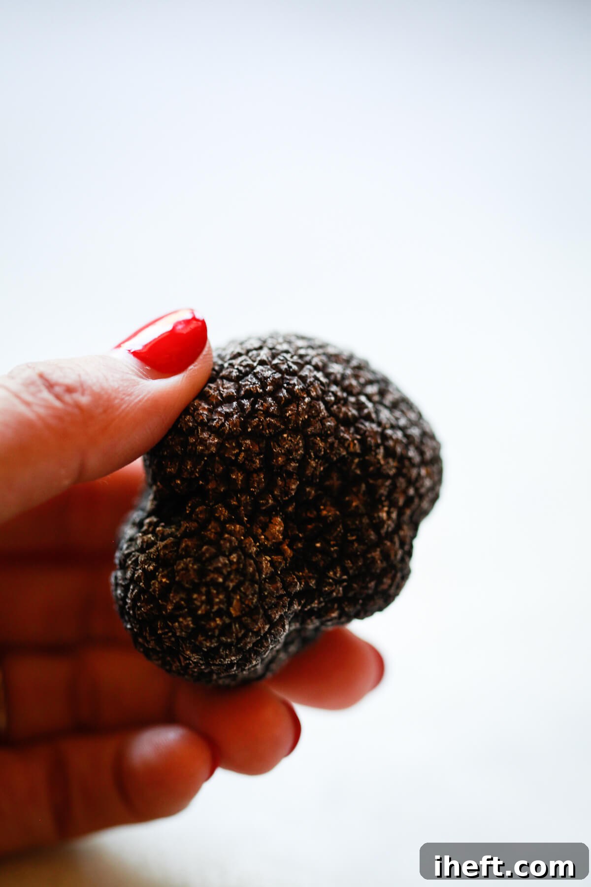 A woman's hand holds a black truffle. 