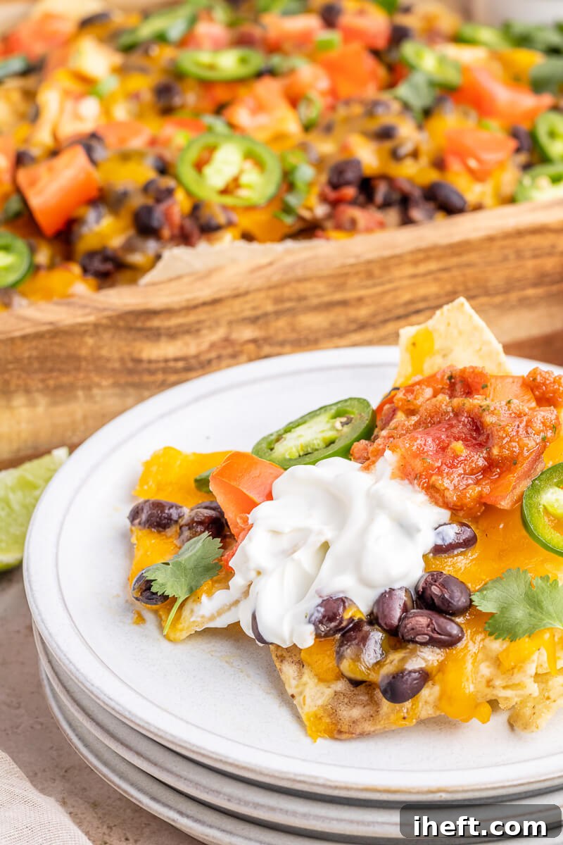 A close-up photo of loaded nachos on a white plate. These vegetarian loaded nachos have black beans, cheese, sour cream, salsa, and cilantro. 