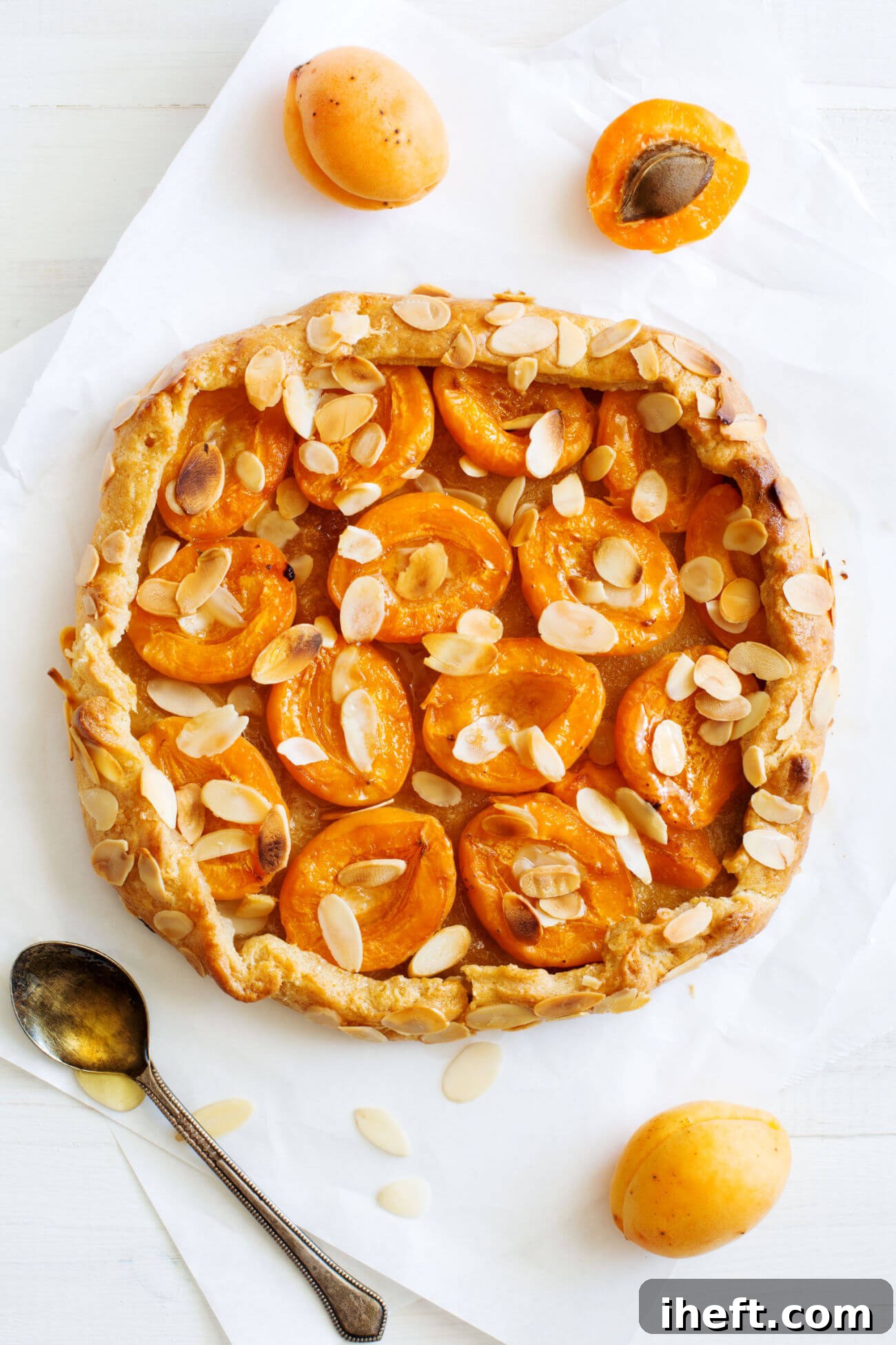 A top-down photo of a fresh apricot galette with sliced almonds on a piece of parchment paper. 