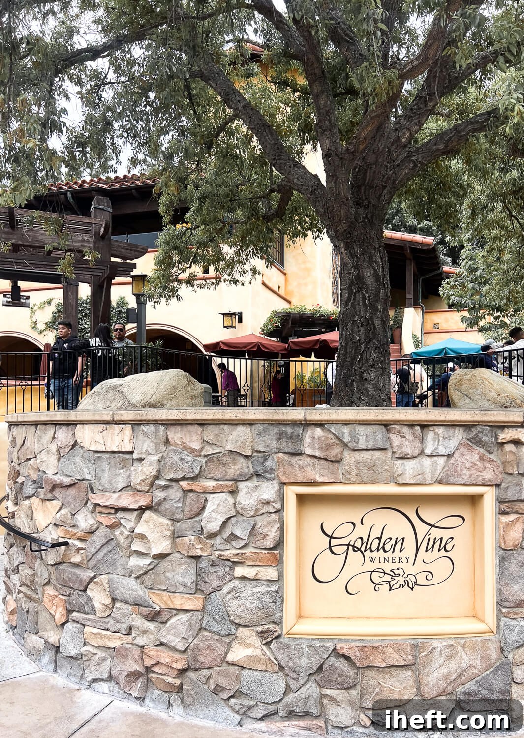 The front of Golden Vine Winery at California Adventure with a large oak tree and stone facade. 
