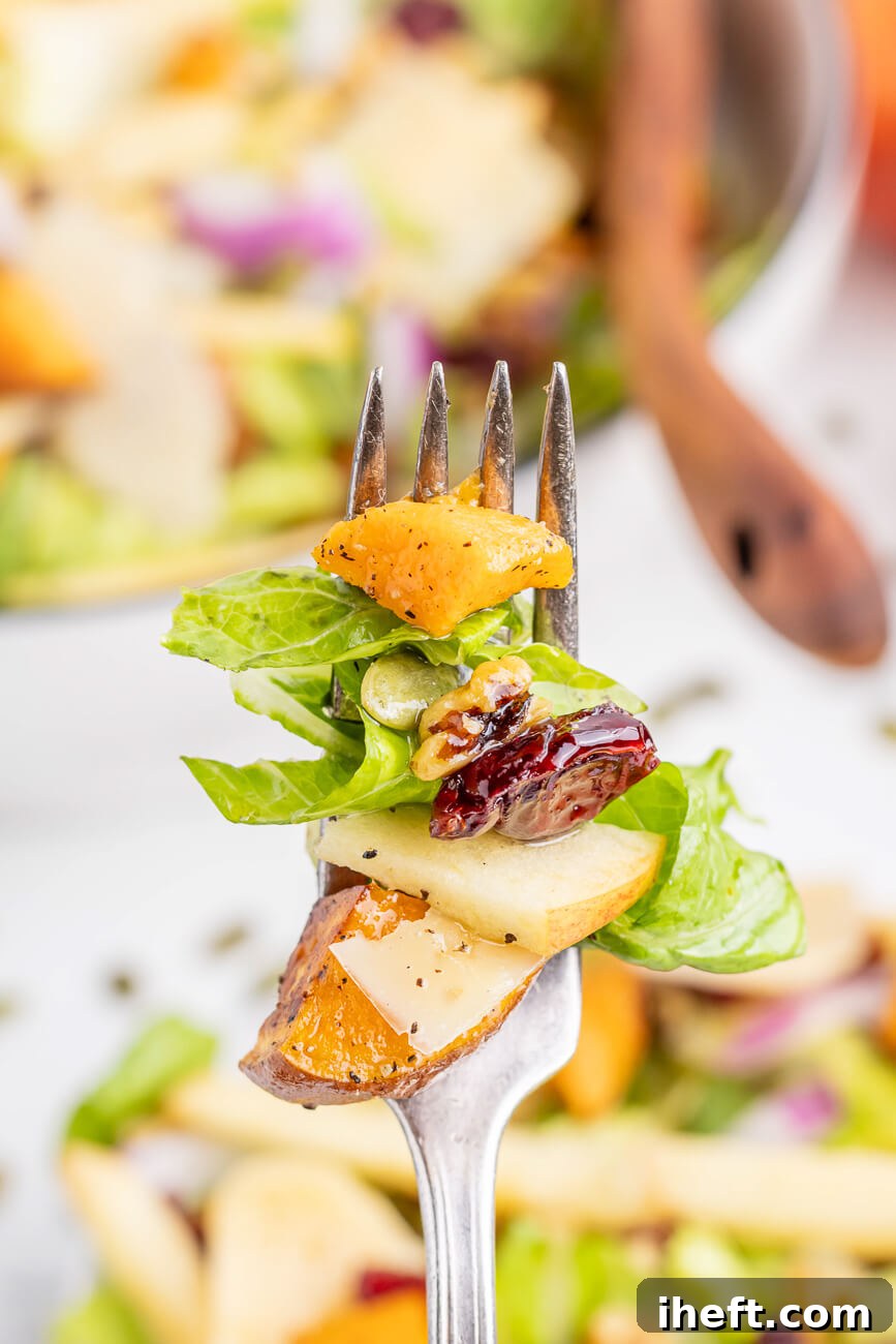 A close-up photo of a fork filled with a delicious bite of sweet potato salad. Romaine, sweet potato, apple, cranberry, and walnut can be seen on the fork. 