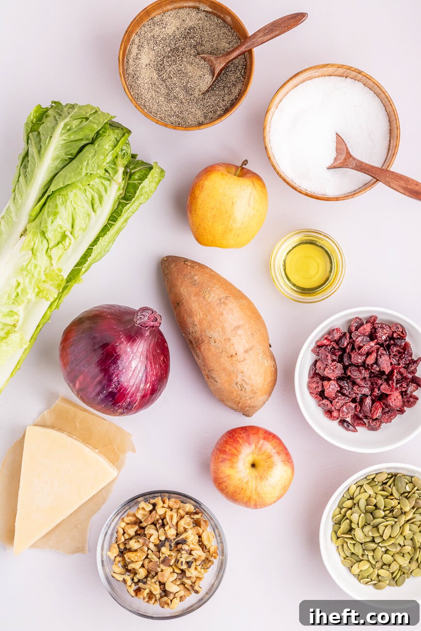 Mise en place ingredients for a fall salad. Pepper, salt, oil, apple, cranberries, pepitas, apple, sweet potato, walnuts, parmesan, and romaine lettuce sit on a white background. 