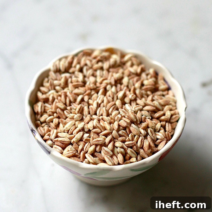 A close-up view of dry, uncooked farro grains, showcasing their earthy texture and natural color.