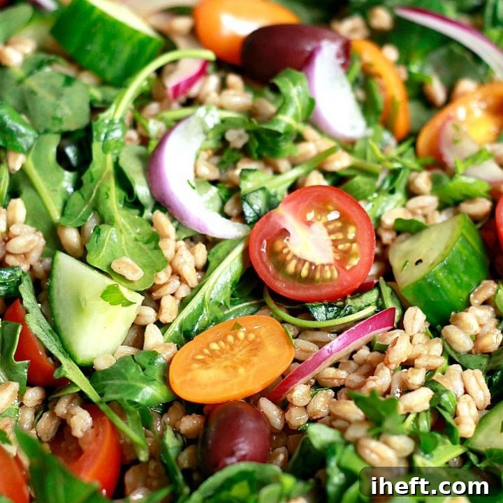 Italian Farro Salad