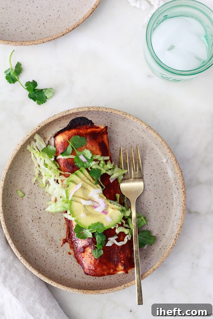 A single vibrant red vegan black bean enchilada, plated beautifully on a rustic dish, accompanied by fresh shredded lettuce and creamy avocado slices. This image highlights the individual serving appeal and plant-based nature of the dish.