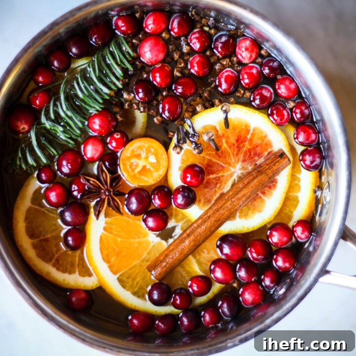Christmas Simmer Pot Stovetop Potpourri