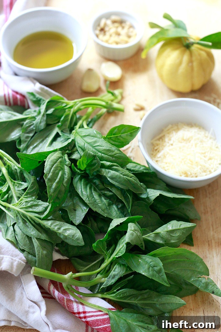 Pesto ingredients include a bunch of fresh basil, garlic, pine nuts, Parmesan, and olive oil. 