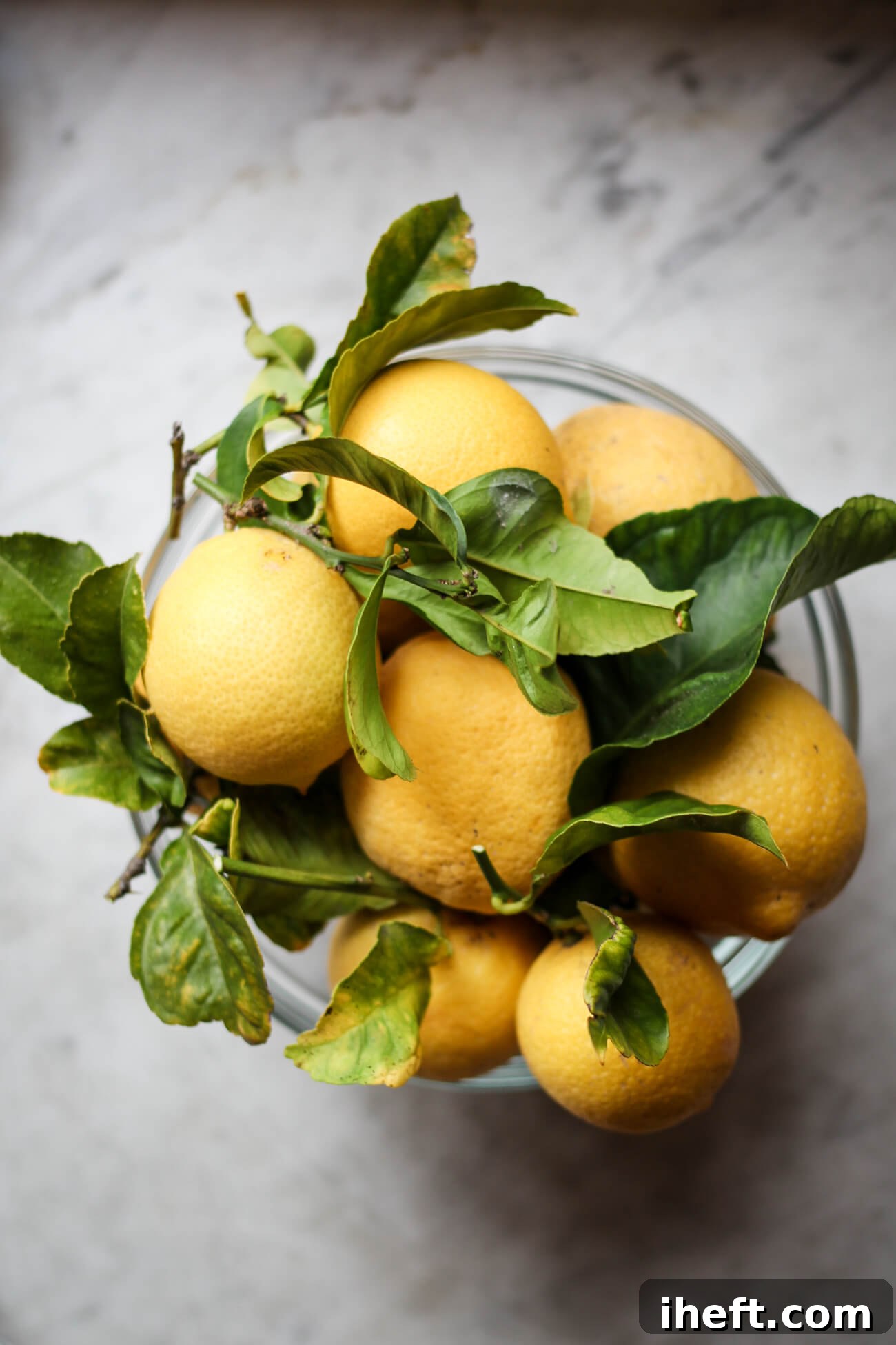 A large glass bowl filled with homegrown California lemons with lots of green leaves still attached. the bowl sits on a white marble counter. 