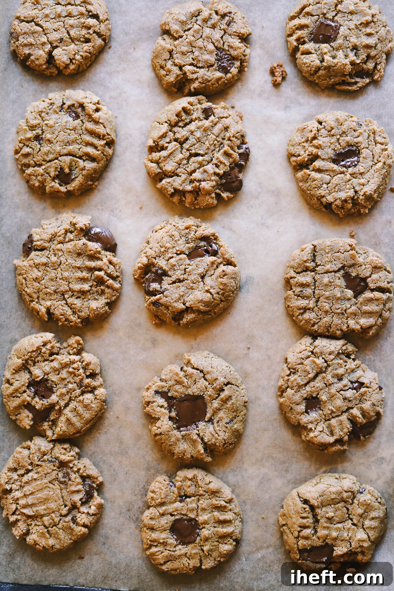 An inviting overhead photograph showcasing a freshly baked batch of delicious oat flour peanut butter chocolate chunk cookies, cooling gracefully on a parchment-lined cookie sheet.