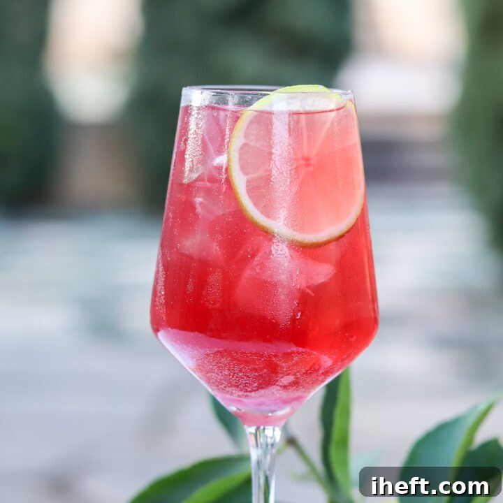 A close-up photo of a red sleepy girl tart cherry juice mocktail garnished with a lime wheel in a wine glass with ice, served in a serene outdoor setting.