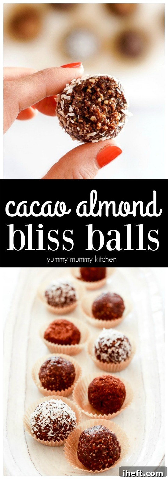 An easy and quick recipe for the best chocolate bliss balls, featuring dates, nuts, cacao, and hemp seeds. Vegan, gluten-free, and paleo-friendly, ideal for healthy food prep.