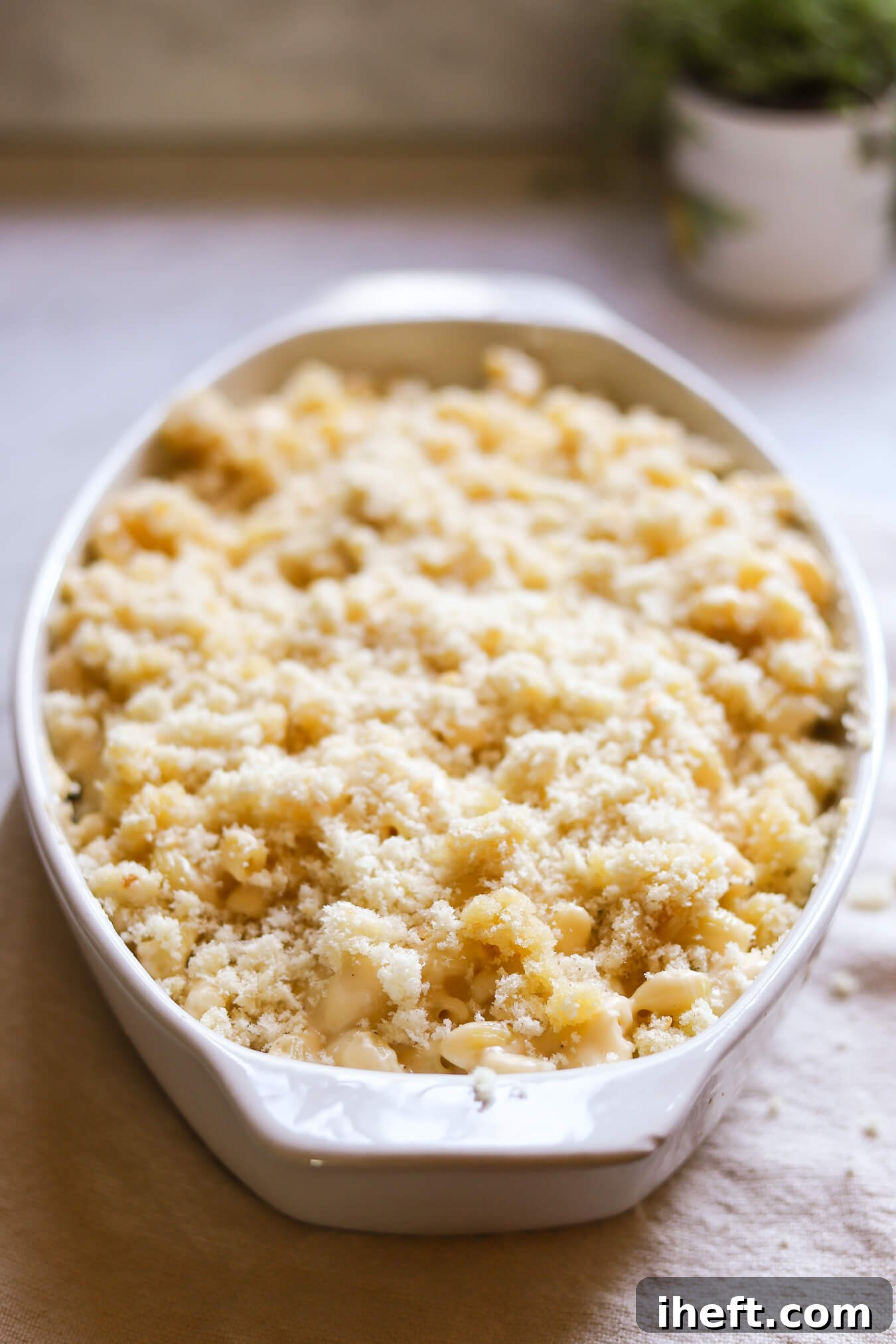A white oval casserole dish filled with unbaked mac and cheese topped with breadcrumbs.